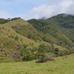 PARNA Caparaó, zona de amortecimento (ZA)